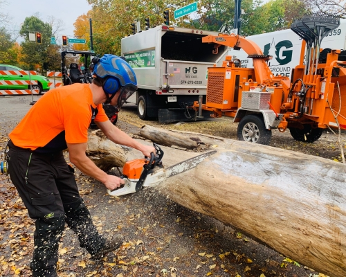 Ground crew cutting a trunk of a newly removed tree in a property in Michigan.