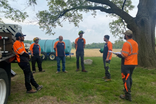 Higher Ground Tree Care team, doing a team consultation before starting a PHC service in Edwardsburg, MI.