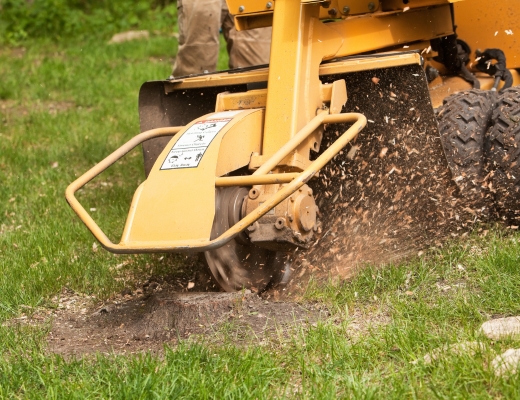 A stump grinder clearing a stump after a tree removal in Edwardsburg, MI.