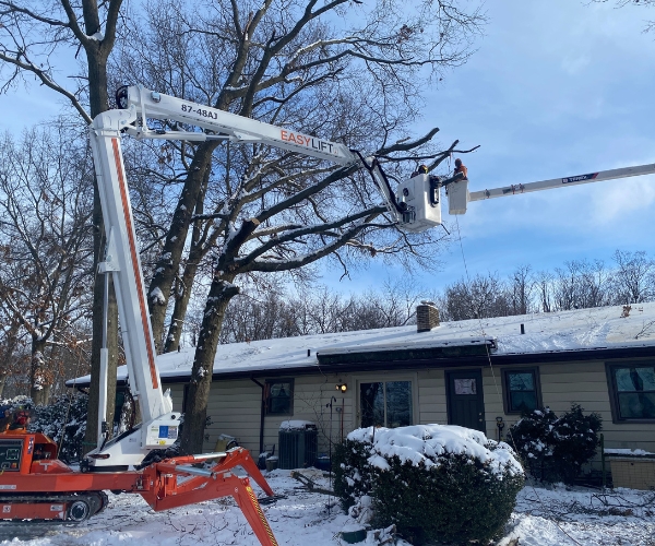 Spider crane and bucket crane used in pruning a tree during winter in Edwardsburg, MI.