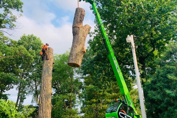 A green tree crane with a tree trunk hanging after a tree removal on a residence in Elkhart, IN.