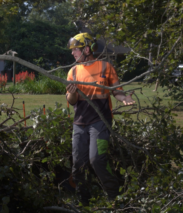 A ground crew cleaning up some freshly pruned branches of a tree on a residence in Elkhart, IN.