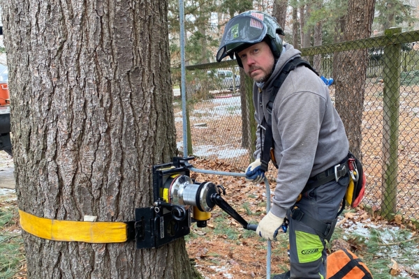 A ground crew of Higher Ground Tree Care, working on safety harness for a tree that will be removed in Elkhart, IN.