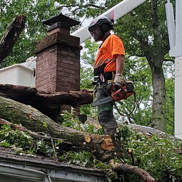 An arborist on top of the roof cleaning some tree debris after a storm in Elkhart, IN.