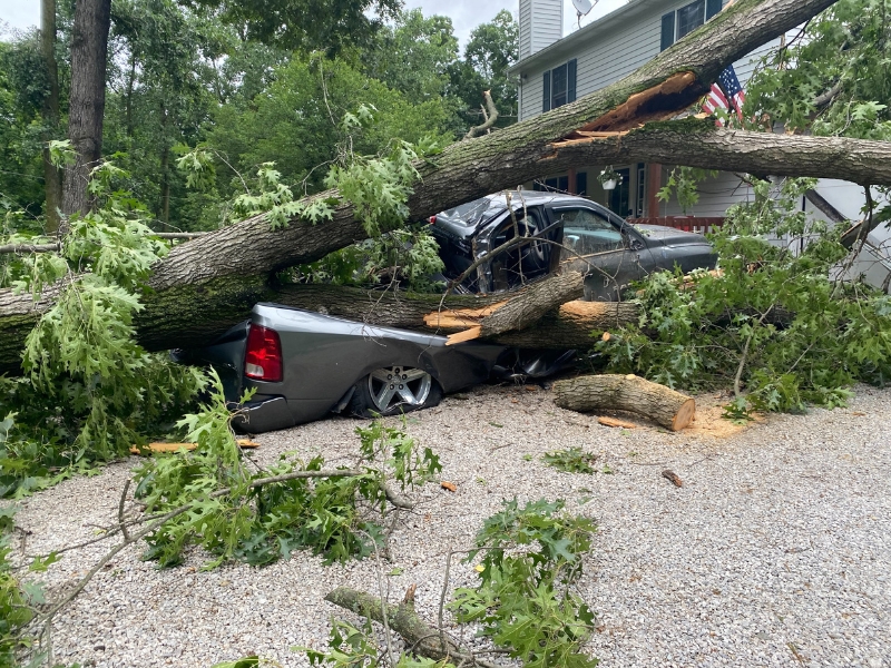 A fallen tree on a car after a storm in South Bend, IN.