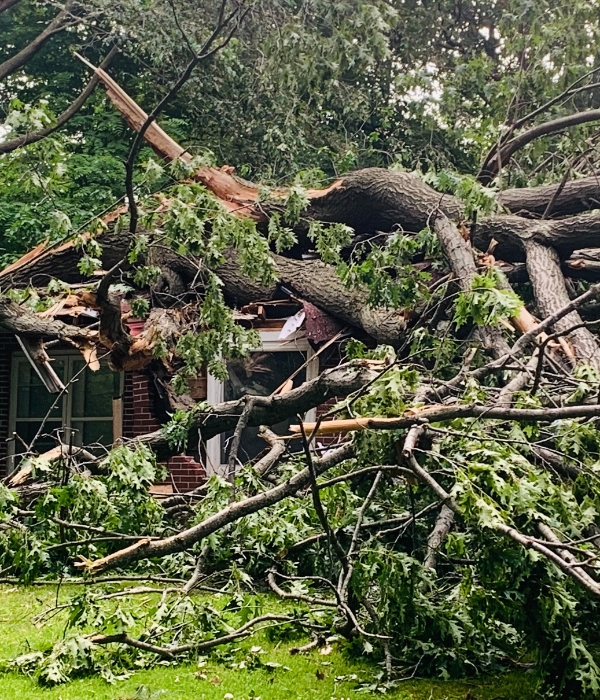 Storm fallen tree on a house in Elkhart, IN.