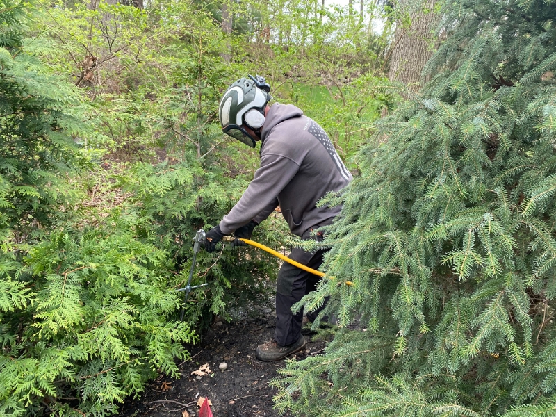 PHC crew fertilizing the soil of trees in a residence in Michiana.