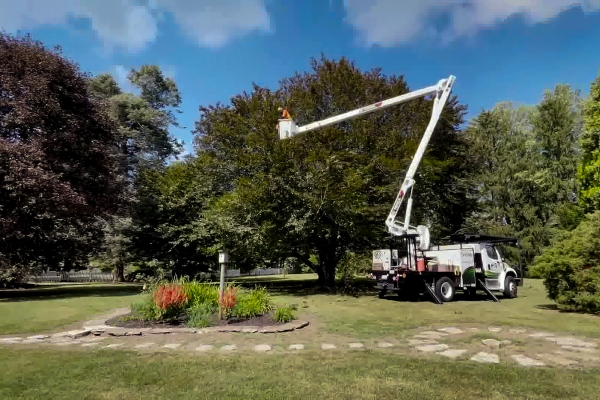 A white bucket crane with an arborist on top, pruning a tree in Granger, IN.