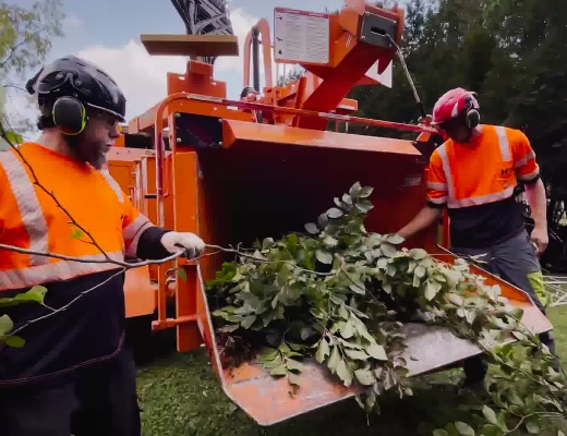 Two ground crews, cleaning up some tree debris after pruning a tree in Granger, IN.