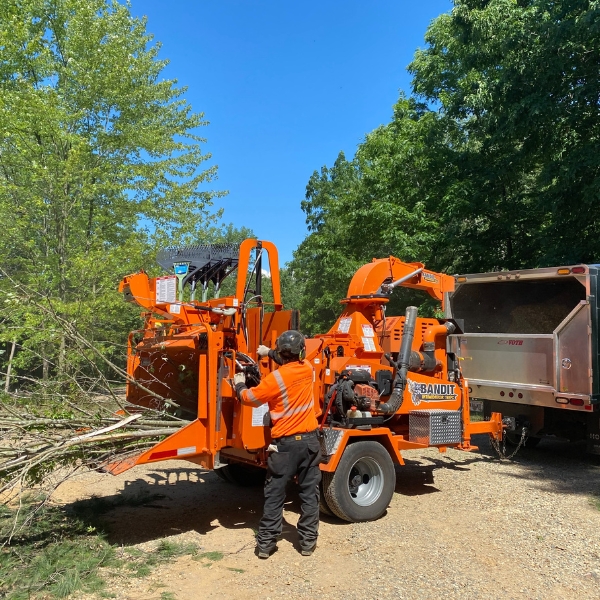 Ground tree crew of Higher Ground Tree Care loading some tree debris after a tree removal on a residential property in Granger, IN.