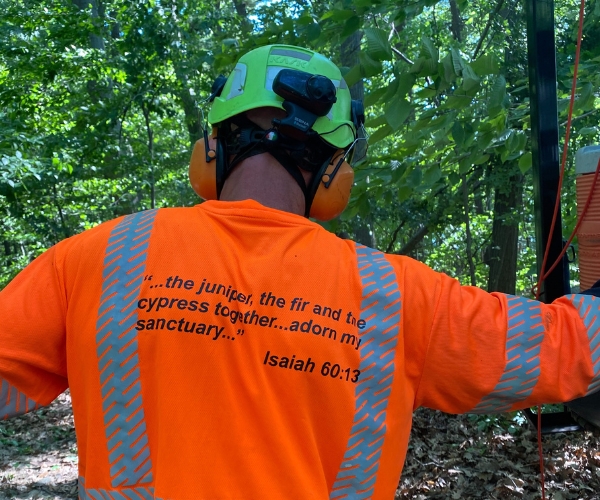 An arborist of Higher Ground Tree Care doing a tree assessment in Granger, IN.