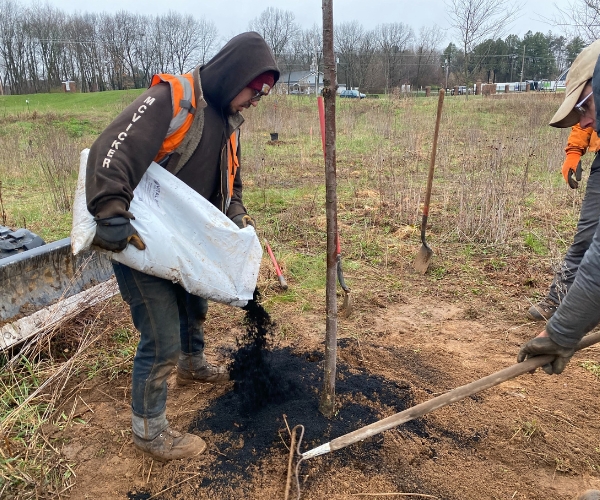 Ground tree crew pouring some black fertilizer soil to a newly planted tree on a property in Granger, IN.