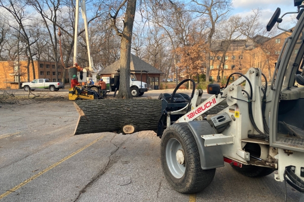 A skidsteer with a log during a tree removal in Granger, IN.