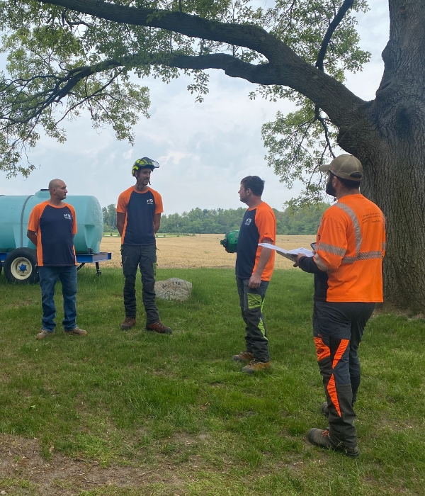 Higher Ground Tree Care team doing a quick huddle before a tree service is done on a property in Granger, IN.