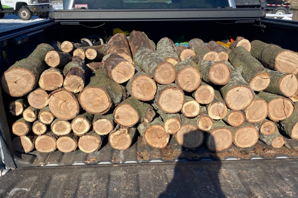 Firewood delivery offered by Higher Ground Tree Care in Mishawaka, IN.