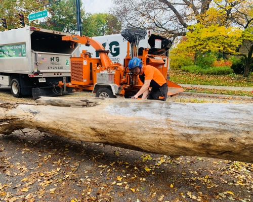 Ground crew of Higher Ground Tree Care cutting a log with a chainsaw on a cloudy day in Michiana, IN.