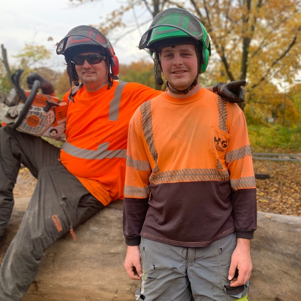 A photo taken of the Tree arborists of Higher Ground Tree Care after a tree removal in South Bend, IN.