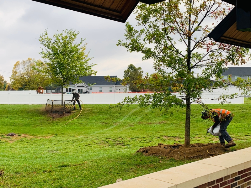 Ground Tree crew of Higher Ground Tree Care planted trees on a residence in Edwardsburg, MI.