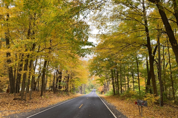 A tree lined highway in Indiana during fall season.