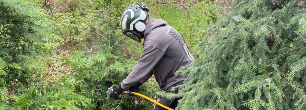 A member of the team at Higher Ground Tree Care providing treatment to shrubs in Granger, IN.