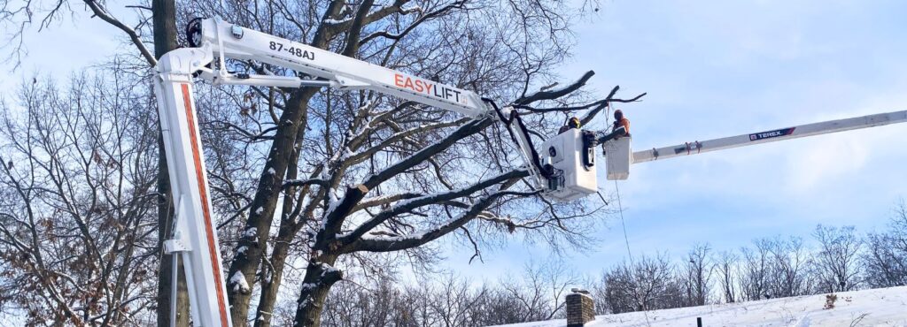 Arborists from Higher Ground Tree Care pruning a residential tree in winter near South Bend, IN.