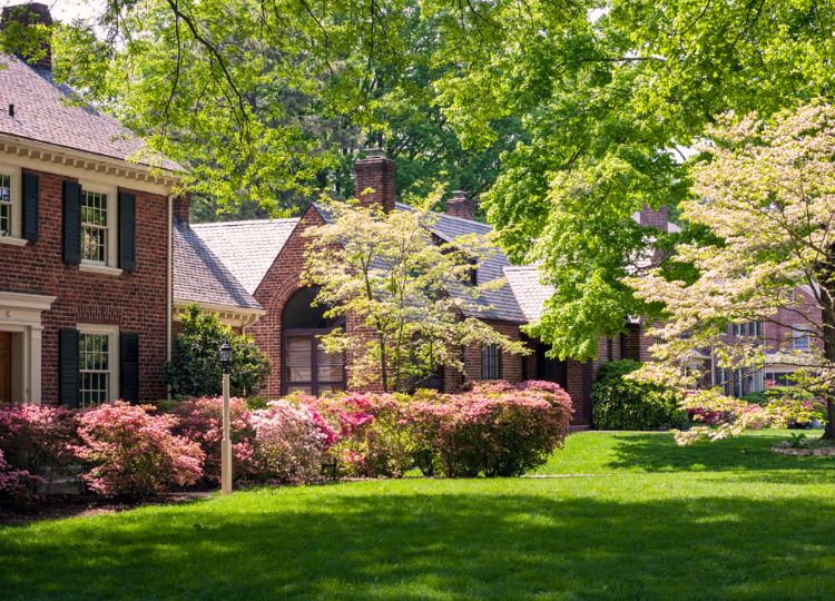 A beautiful residential yard in the Michiana area with properly pruned and healthy trees.  