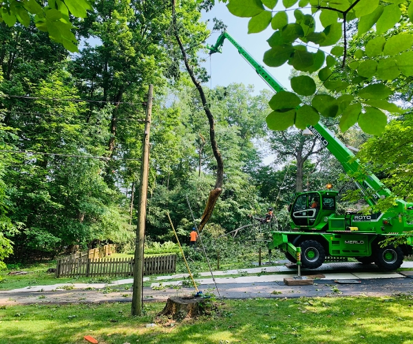 Higher Ground tree crane doing a removal of a storm fallen tree in Mishawaka, IN.