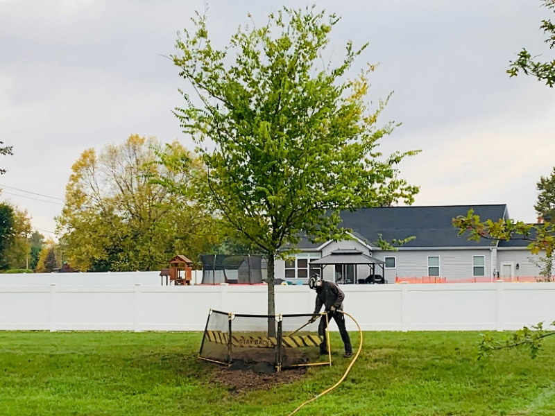 A tree crew of Higher Ground Tree Care watering a newly planted tree in South Bend, IN.