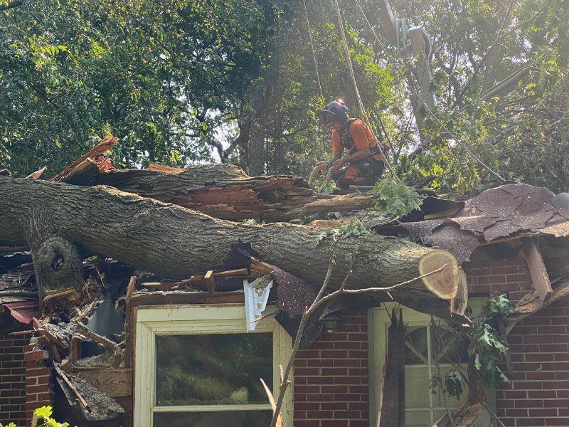 A tree crew cleaning up debris of a fallen tree after a storm in Indiana.