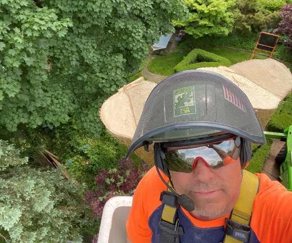 Arborist taking a photo of himself after pruning a tree in South Bend, IN.