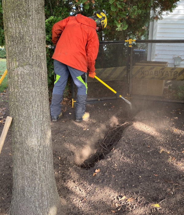 Tree crew doing some air spading for root pruning of a tree on a residence in Elkhart, IN.