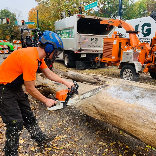 A ground crew of Higher Ground Tree Care cutting a log into section and will be fed to the chipper after a tree removal in Michigan.