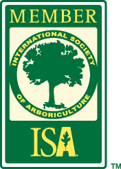 isa-member-logo